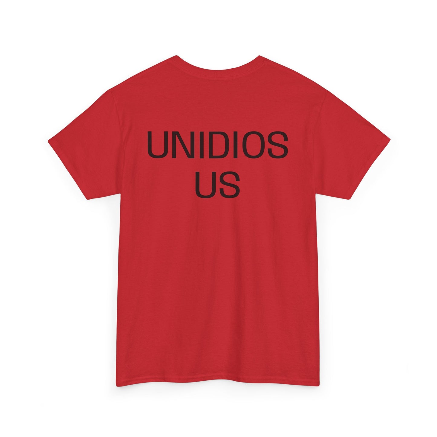 UNIDIOS US Unisex Heavy Cotton Tee - 'We The People' Flag Shirt,