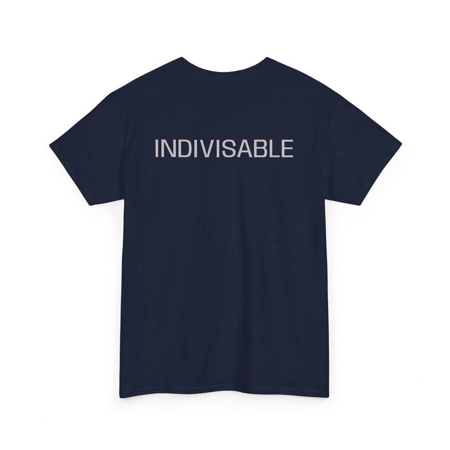 INDIVISIBLE Heavy Cotton Tee - 'We The People' Flag Shirt,