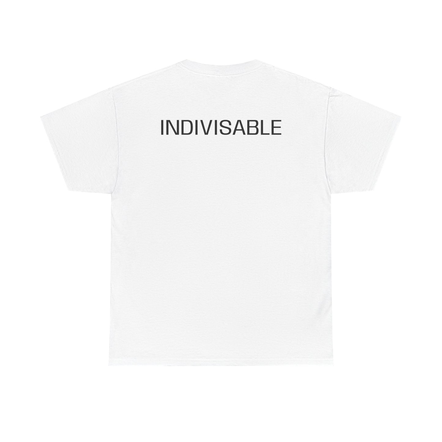 INDIVISIBLE Heavy Cotton Tee - 'We The People' Flag Shirt,