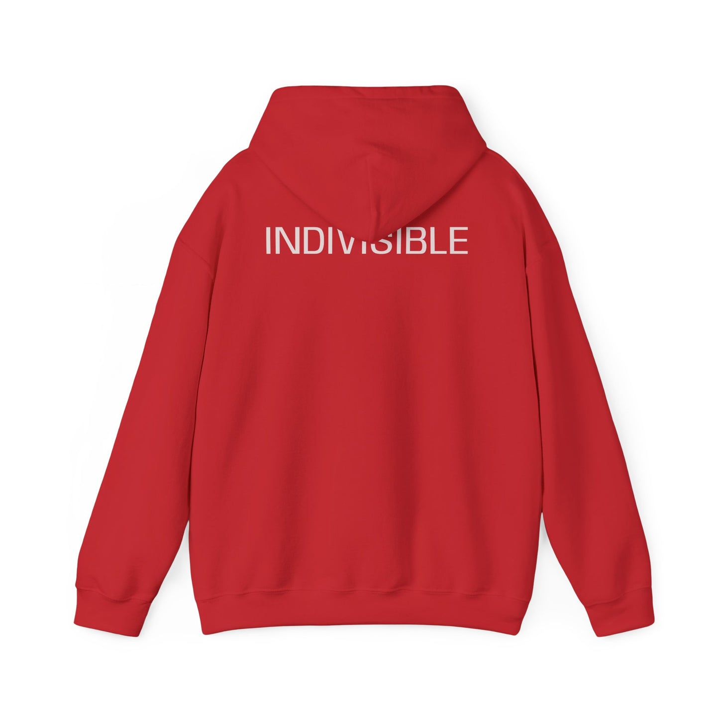INDIVISIBLE,  (We the People) Unity Flag Hoodie