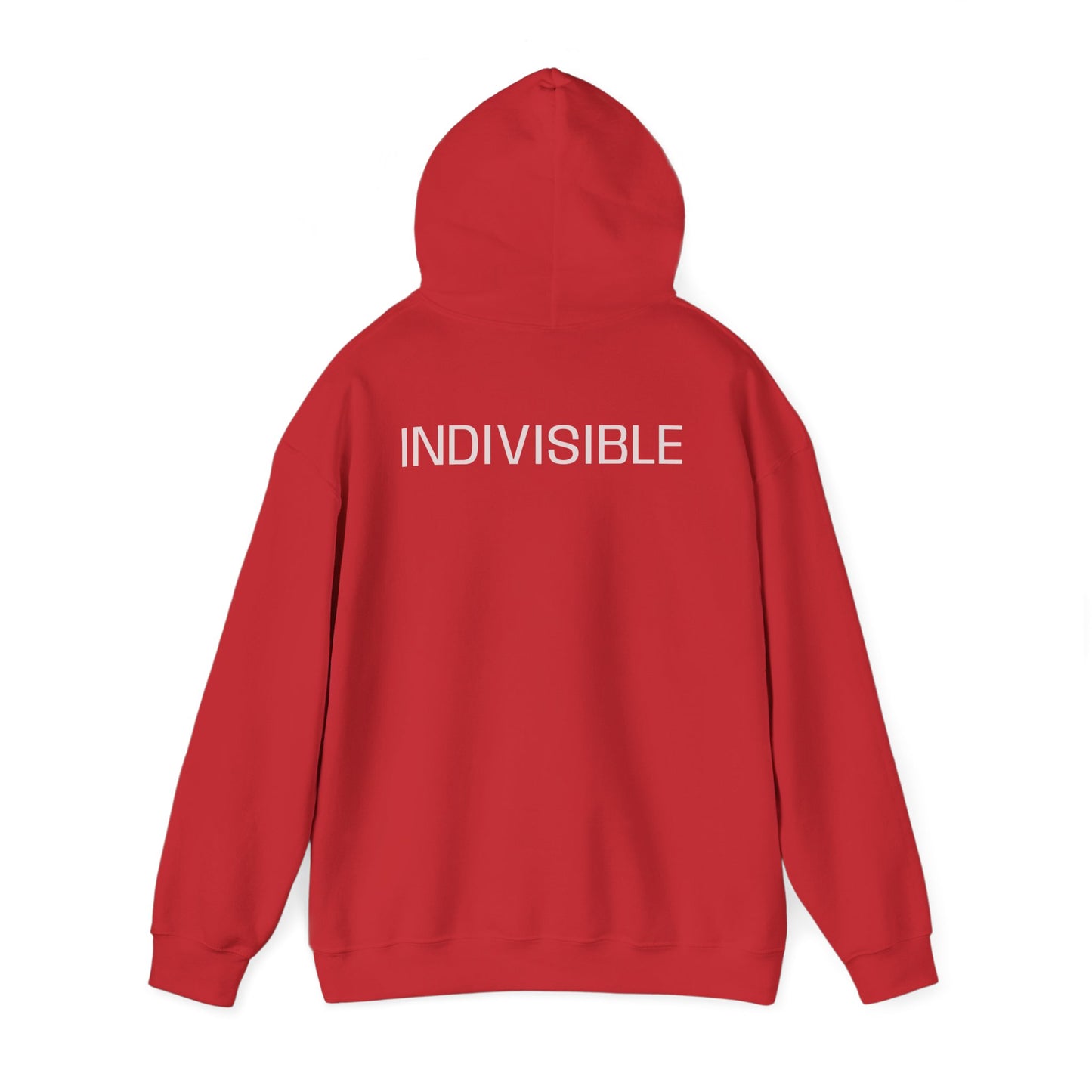 INDIVISIBLE,  (We the People) Unity Flag Hoodie