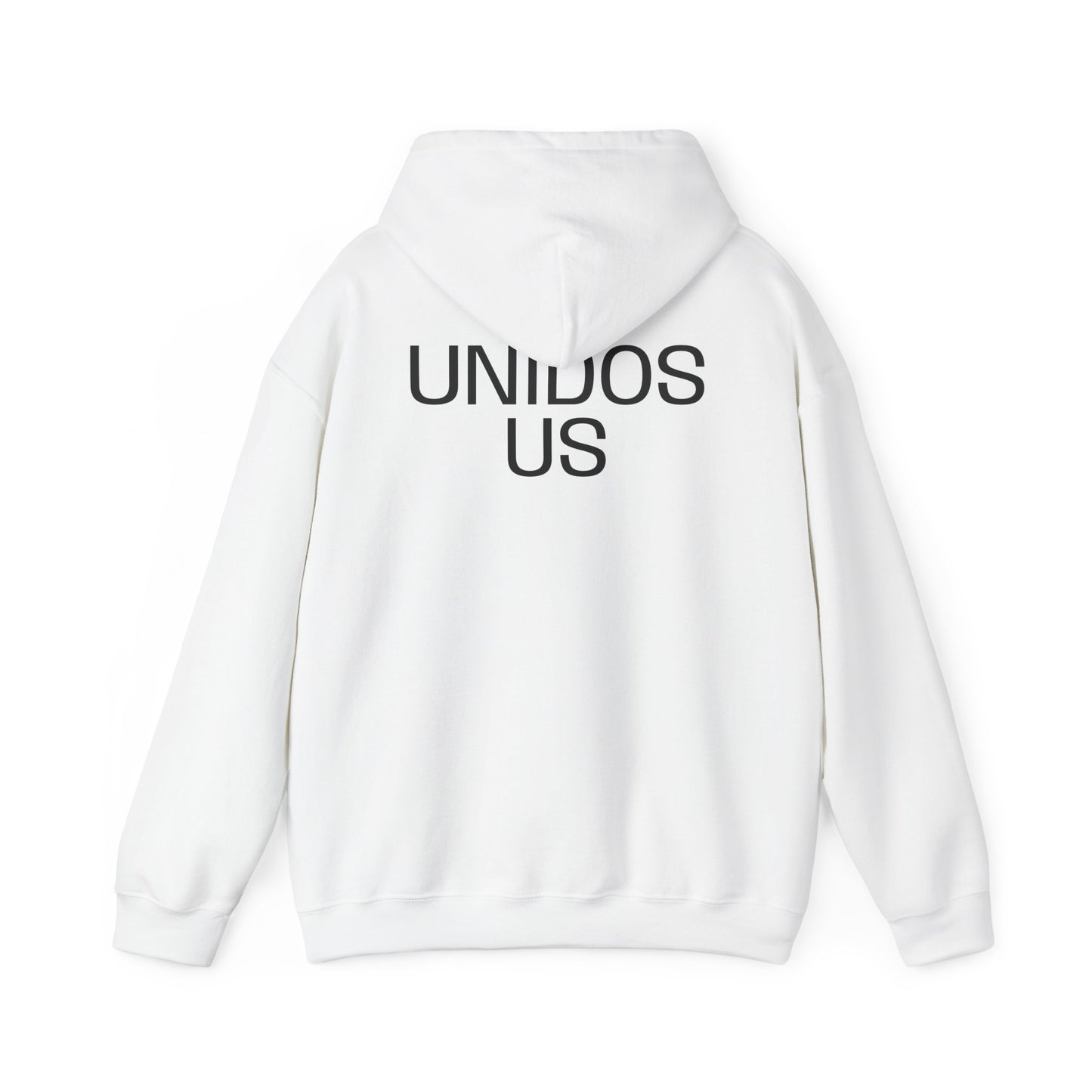 UNIDOS US, (We the People) Unity Flag Hoodie