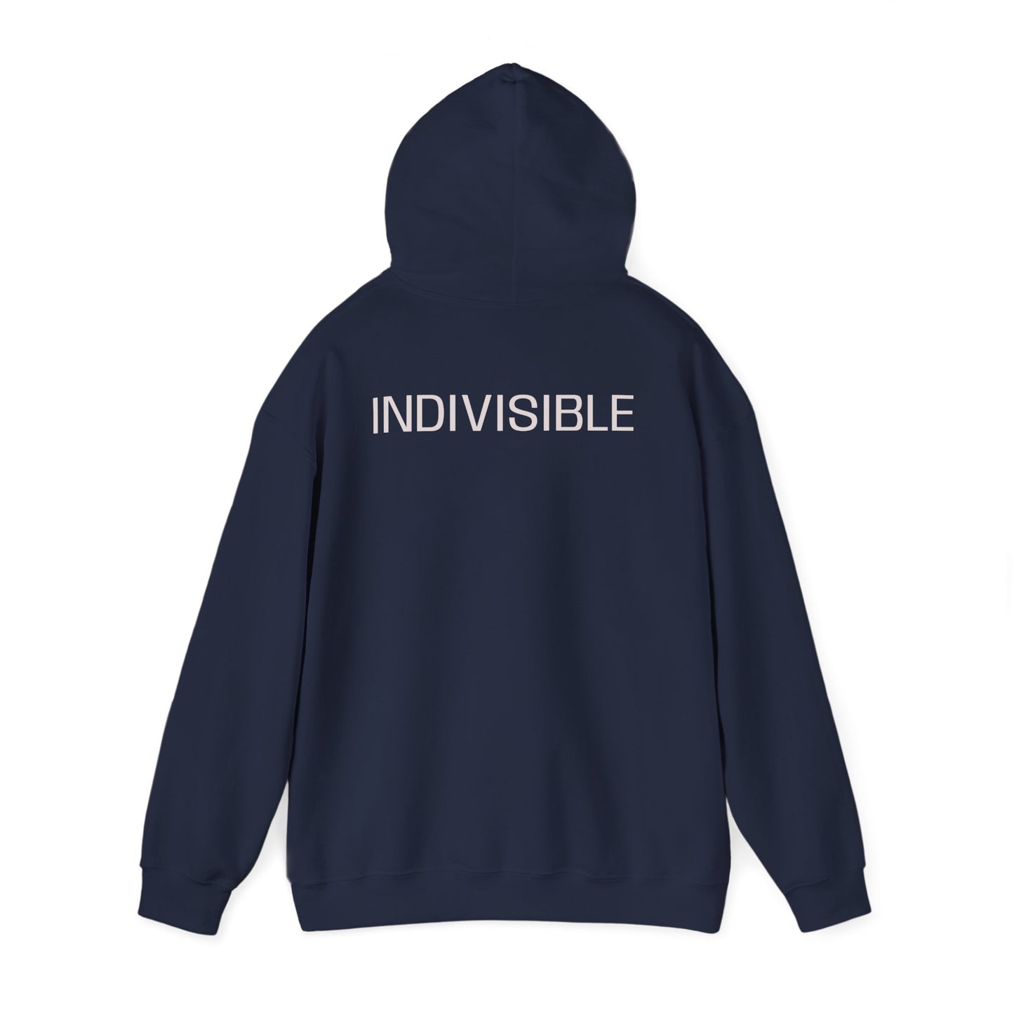 INDIVISIBLE,  (We the People) Unity Flag Hoodie