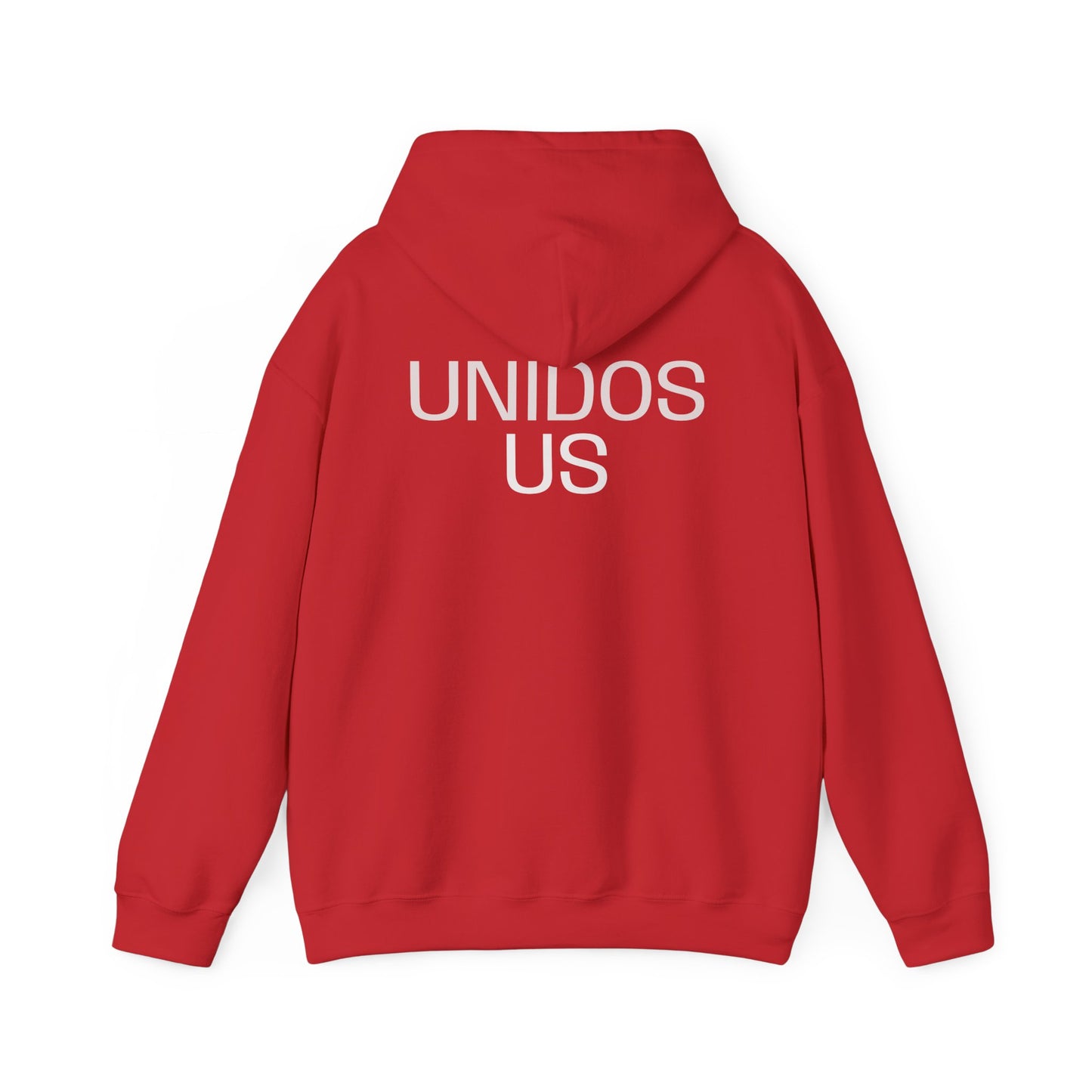 UNIDOS US, (We the People) Unity Flag Hoodie