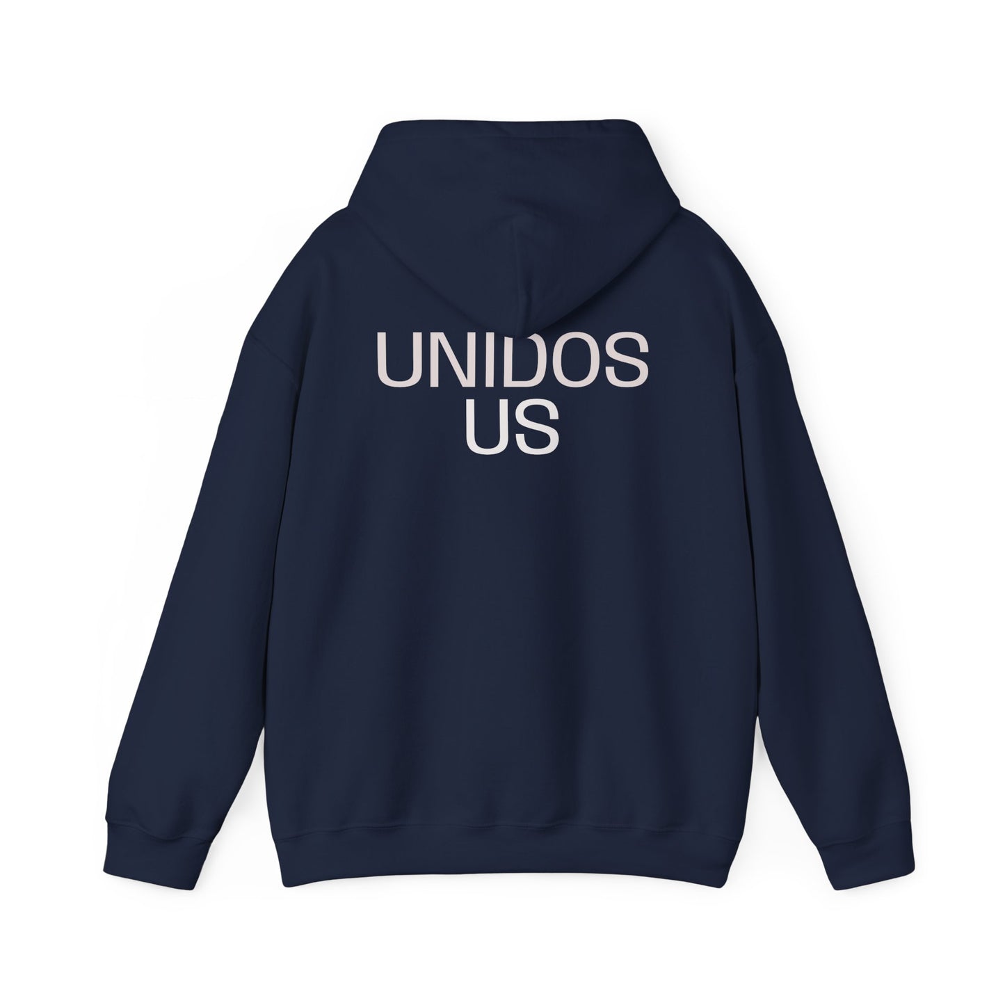 UNIDOS US, (We the People) Unity Flag Hoodie