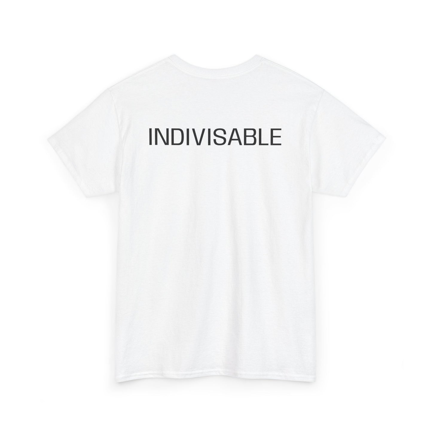 INDIVISIBLE Heavy Cotton Tee - 'We The People' Flag Shirt,