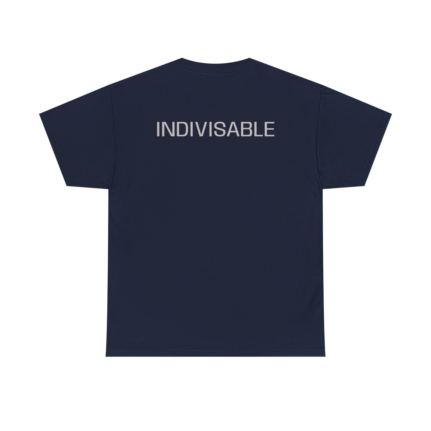 INDIVISIBLE Heavy Cotton Tee - 'We The People' Flag Shirt,