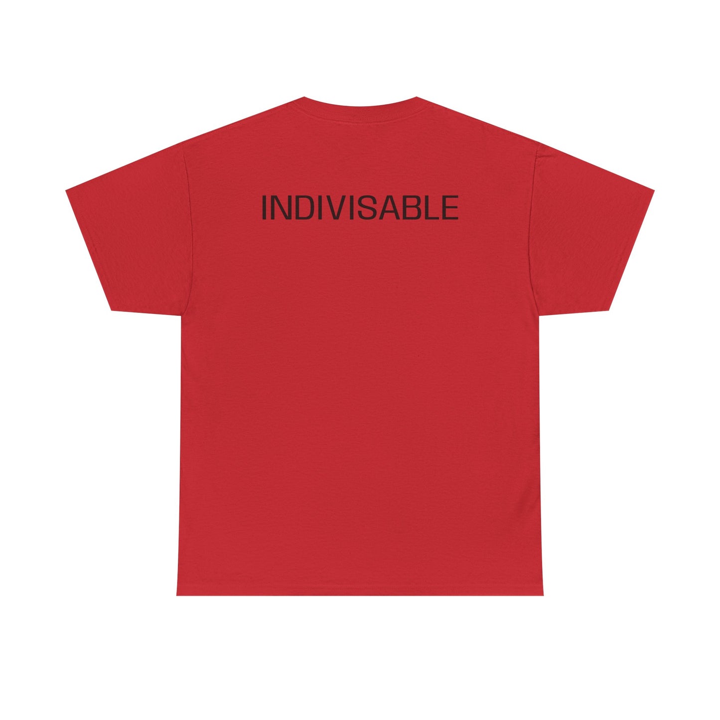 INDIVISIBLE Heavy Cotton Tee - 'We The People' Flag Shirt,