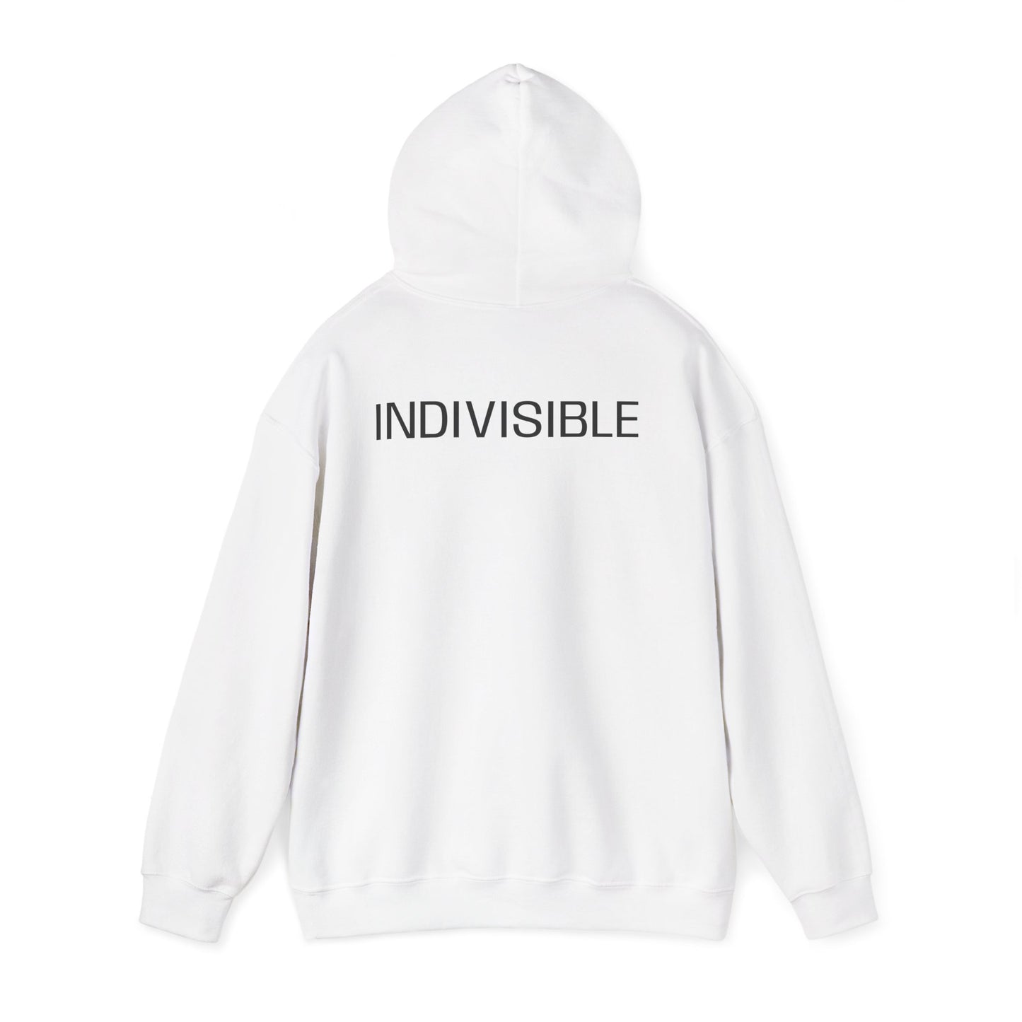 INDIVISIBLE,  (We the People) Unity Flag Hoodie